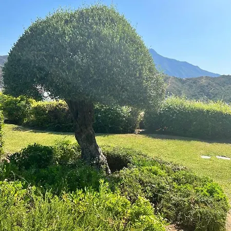 Altos De La Quinta Ii